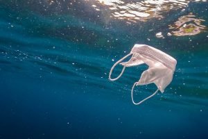 beach clean-up | sea pollution